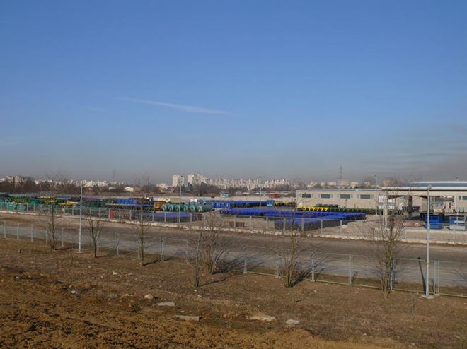 P1310307.jpg